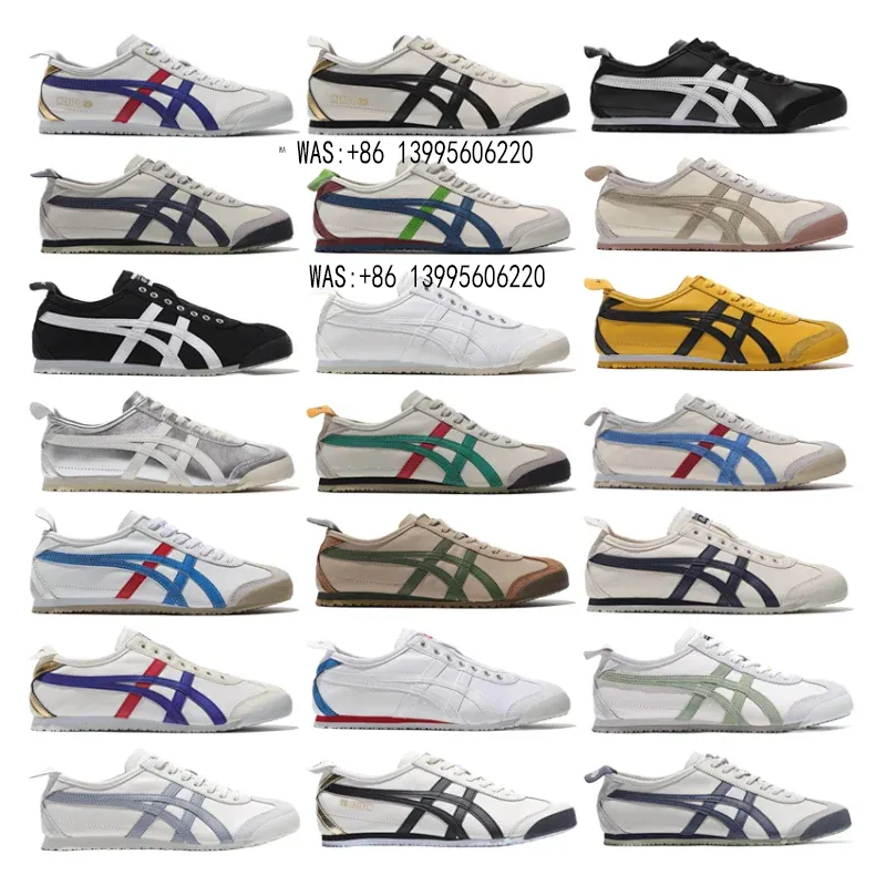 66  collection (40)